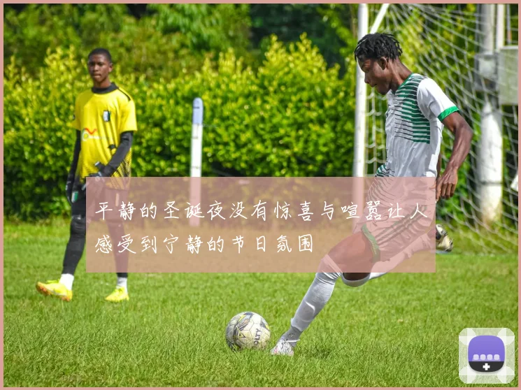 平静的圣诞夜没有惊喜与喧嚣让人感受到宁静的节日氛围